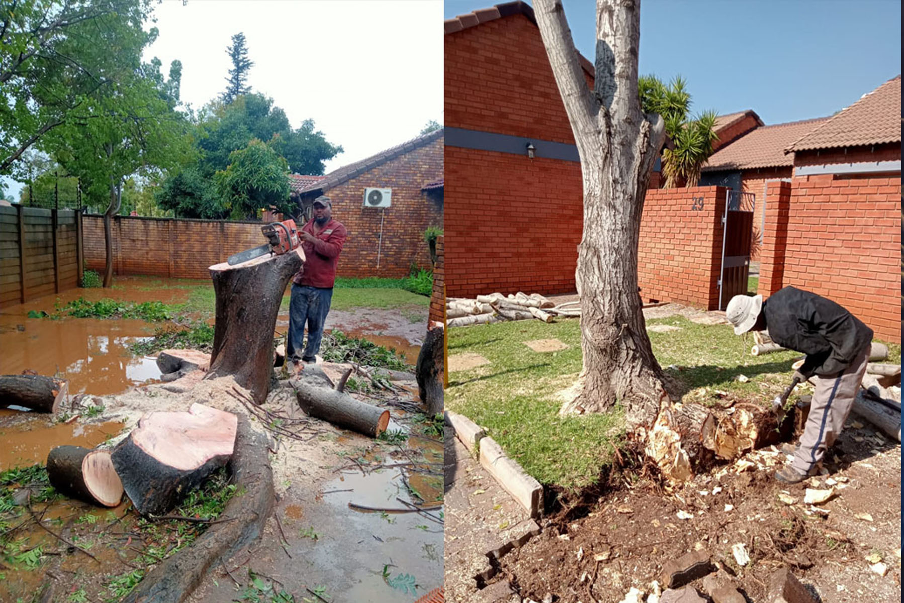 Tree Felling